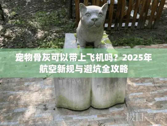 宠物骨灰可以带上飞机吗？2025年航空新规与避坑全攻略