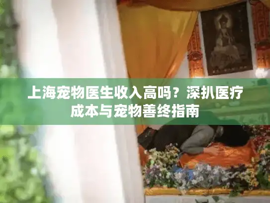 上海宠物医生收入高吗？深扒医疗成本与宠物善终指南