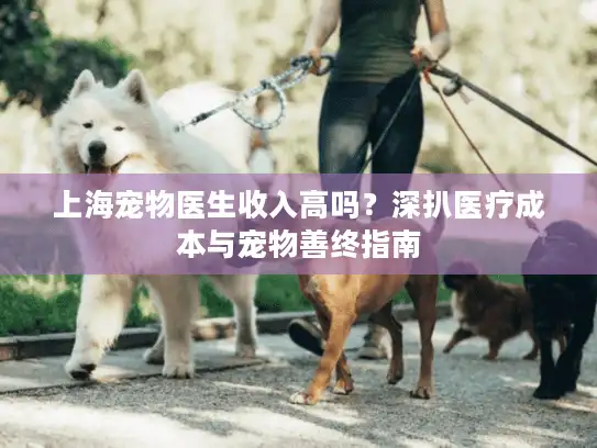 上海宠物医生收入高吗？深扒医疗成本与宠物善终指南