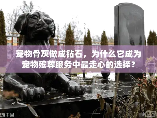 宠物骨灰做成钻石，为什么它成为宠物殡葬服务中最走心的选择？