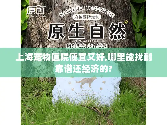 上海宠物医院便宜又好,哪里能找到靠谱还经济的?