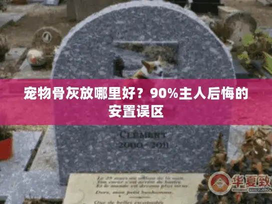 宠物骨灰放哪里好？90%主人后悔的安置误区
