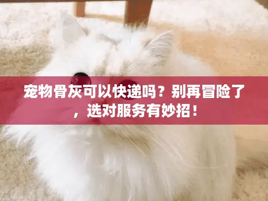宠物骨灰可以快递吗？别再冒险了，选对服务有妙招！