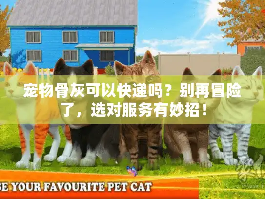 宠物骨灰可以快递吗？别再冒险了，选对服务有妙招！