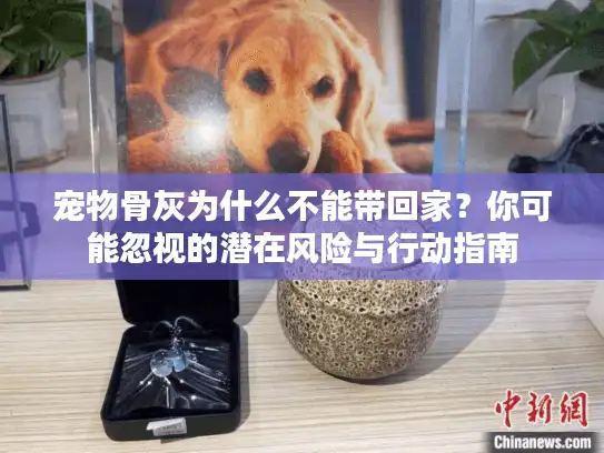 宠物骨灰为什么不能带回家？你可能忽视的潜在风险与行动指南