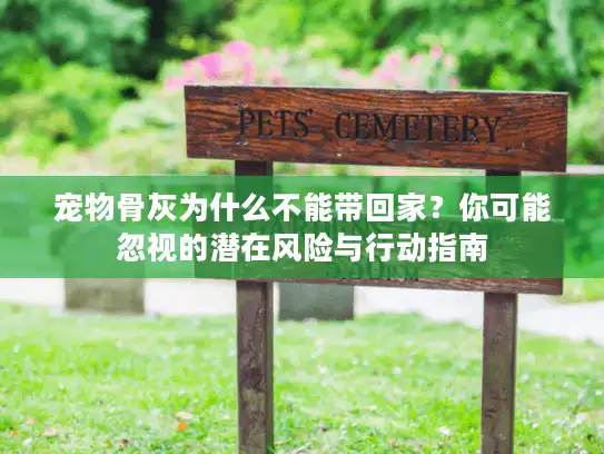 宠物骨灰为什么不能带回家？你可能忽视的潜在风险与行动指南