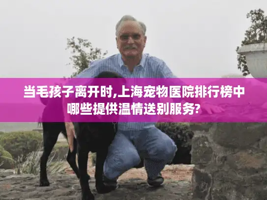 当毛孩子离开时,上海宠物医院排行榜中哪些提供温情送别服务?