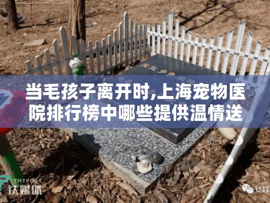 当毛孩子离开时,上海宠物医院排行榜中哪些提供温情送别服务?
