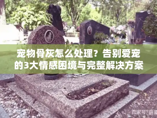 宠物骨灰怎么处理？告别爱宠的3大情感困境与完整解决方案