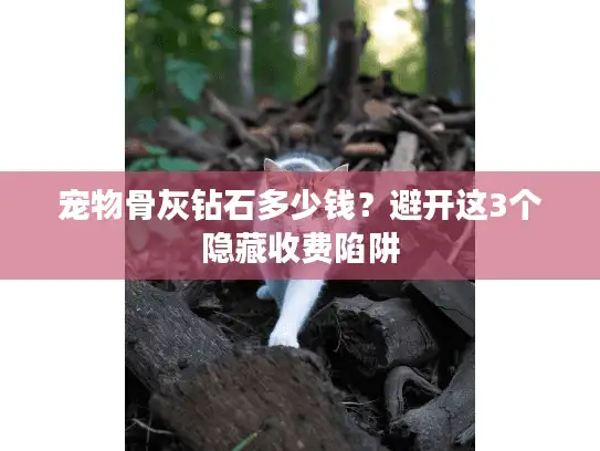 宠物骨灰钻石多少钱？避开这3个隐藏收费陷阱