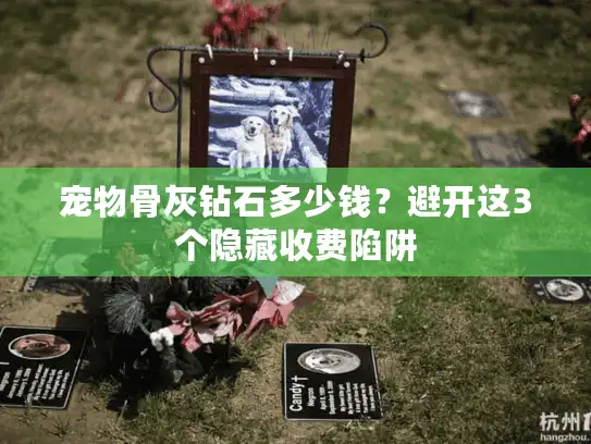 宠物骨灰钻石多少钱？避开这3个隐藏收费陷阱