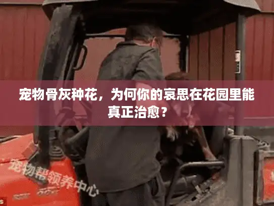 宠物骨灰种花，为何你的哀思在花园里能真正治愈？
