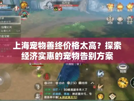 上海宠物善终价格太高？探索经济实惠的宠物告别方案
