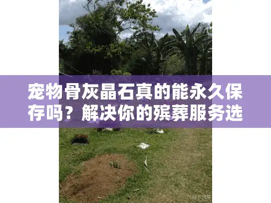 宠物骨灰晶石真的能永久保存吗？解决你的殡葬服务选择难题