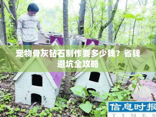 宠物骨灰钻石制作要多少钱？省钱避坑全攻略