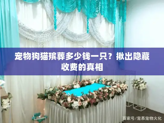 宠物狗猫殡葬多少钱一只？揪出隐藏收费的真相