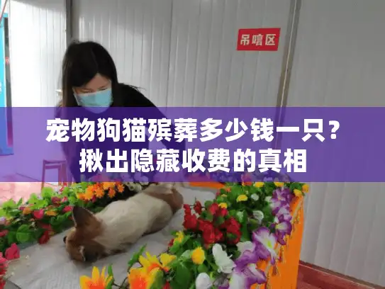 宠物狗猫殡葬多少钱一只？揪出隐藏收费的真相