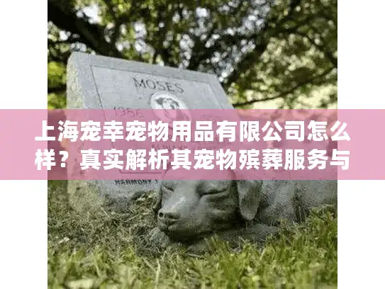 上海宠幸宠物用品有限公司怎么样？真实解析其宠物殡葬服务与用户口碑