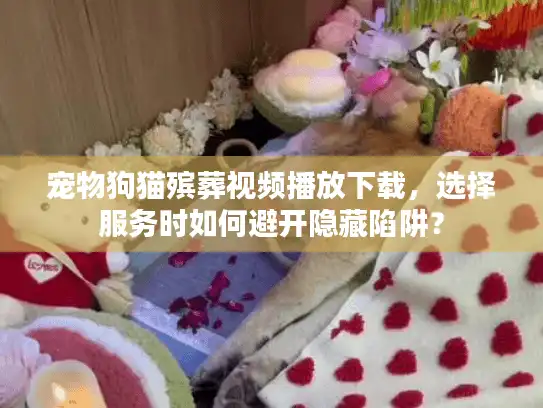宠物狗猫殡葬视频播放下载，选择服务时如何避开隐藏陷阱？