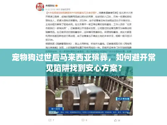 宠物狗过世后马来西亚殡葬，如何避开常见陷阱找到安心方案？