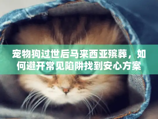 宠物狗过世后马来西亚殡葬，如何避开常见陷阱找到安心方案？