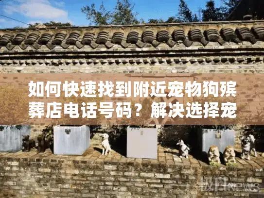 如何快速找到附近宠物狗殡葬店电话号码？解决选择宠物殡葬服务的痛点