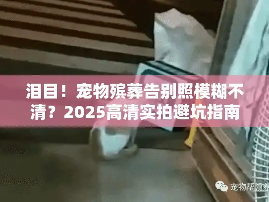 泪目！宠物殡葬告别照模糊不清？2025高清实拍避坑指南