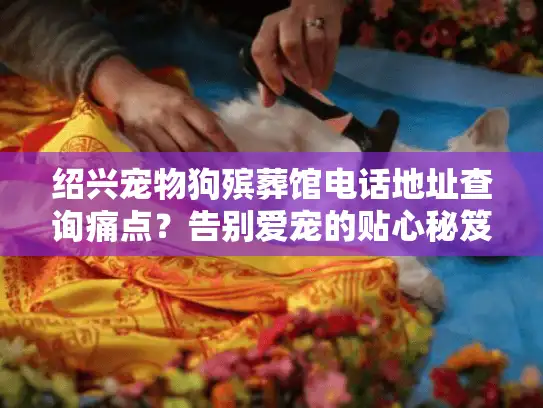 绍兴宠物狗殡葬馆电话地址查询痛点？告别爱宠的贴心秘笈