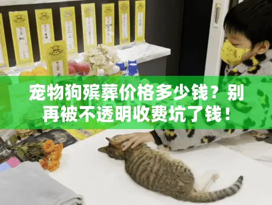 宠物狗殡葬价格多少钱？别再被不透明收费坑了钱！