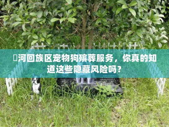 瀍河回族区宠物狗殡葬服务，你真的知道这些隐藏风险吗？