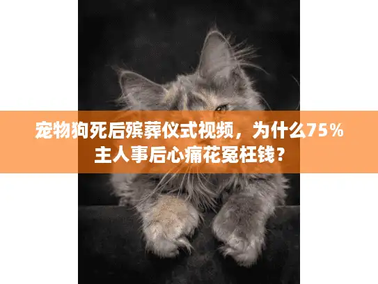 宠物狗死后殡葬仪式视频，为什么75%主人事后心痛花冤枉钱？