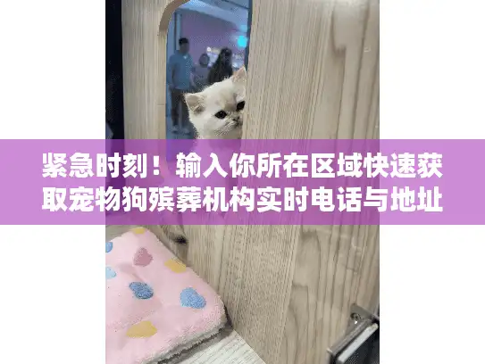 紧急时刻！输入你所在区域快速获取宠物狗殡葬机构实时电话与地址
