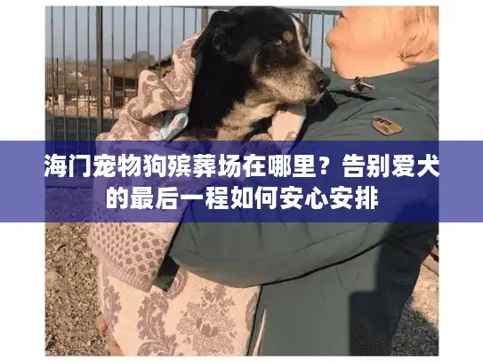 海门宠物狗殡葬场在哪里？告别爱犬的最后一程如何安心安排