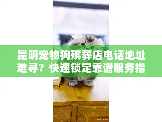 昆明宠物狗殡葬店电话地址难寻？快速锁定靠谱服务指南