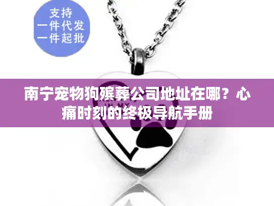 南宁宠物狗殡葬公司地址在哪？心痛时刻的终极导航手册