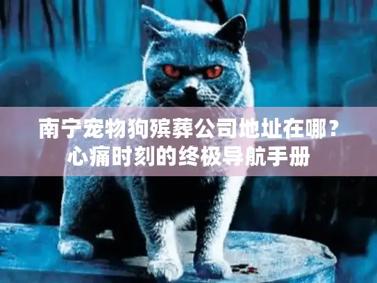 南宁宠物狗殡葬公司地址在哪？心痛时刻的终极导航手册