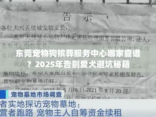 东莞宠物狗殡葬服务中心哪家靠谱？2025年告别爱犬避坑秘籍