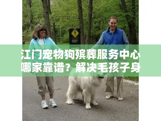 江门宠物狗殡葬服务中心哪家靠谱？解决毛孩子身后事的安心选择