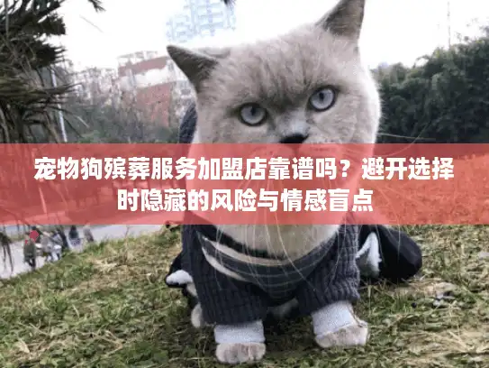 宠物狗殡葬服务加盟店靠谱吗？避开选择时隐藏的风险与情感盲点