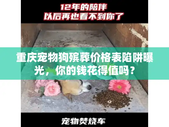 重庆宠物狗殡葬价格表陷阱曝光，你的钱花得值吗？