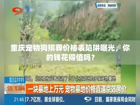 重庆宠物狗殡葬价格表陷阱曝光，你的钱花得值吗？