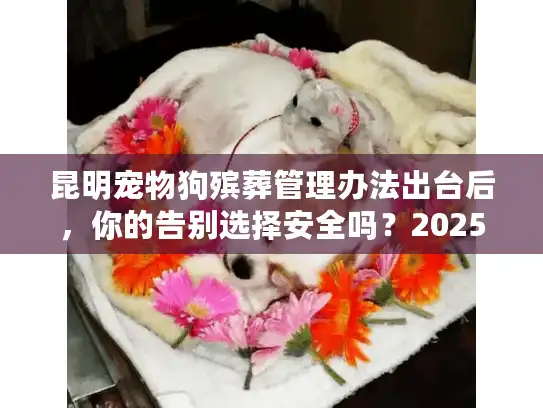 昆明宠物狗殡葬管理办法出台后，你的告别选择安全吗？2025年避坑指南