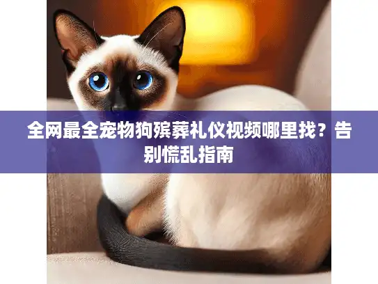 全网最全宠物狗殡葬礼仪视频哪里找？告别慌乱指南
