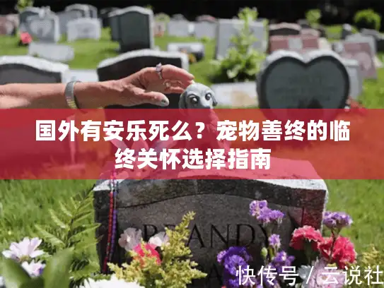 国外有安乐死么？宠物善终的临终关怀选择指南