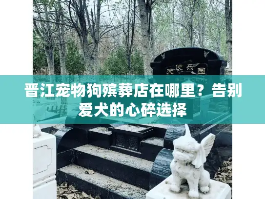 晋江宠物狗殡葬店在哪里？告别爱犬的心碎选择