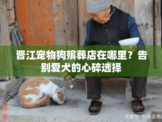 晋江宠物狗殡葬店在哪里？告别爱犬的心碎选择