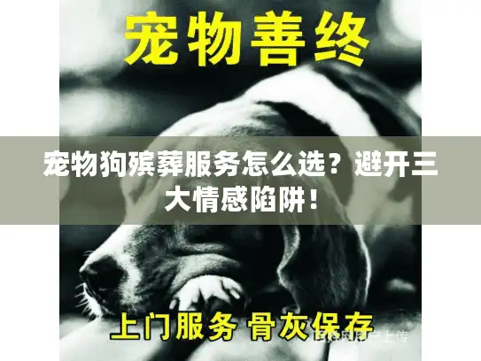 宠物狗殡葬服务怎么选？避开三大情感陷阱！