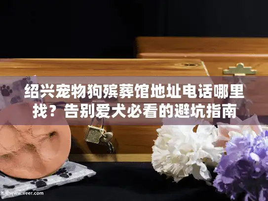 绍兴宠物狗殡葬馆地址电话哪里找？告别爱犬必看的避坑指南