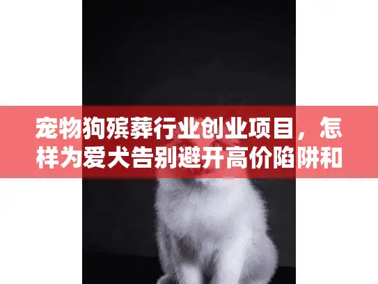 宠物狗殡葬行业创业项目，怎样为爱犬告别避开高价陷阱和低质服务？