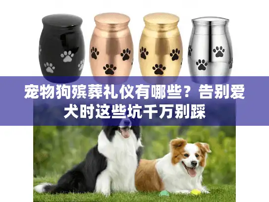 宠物狗殡葬礼仪有哪些？告别爱犬时这些坑千万别踩